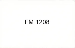 21 fudan fm1208