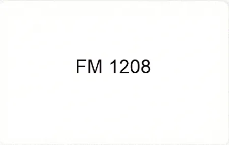 21 fudan fm1208