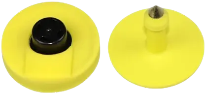 rfid tags for swine pigs